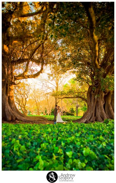 macarthur-wedding-photographers-terrara-house-estate-south-coast-weddding_0637