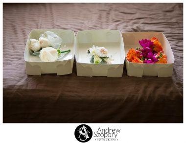 Macarthur-wedding-photographers-Camelot-Castle-Camden-weddding-receptions_0515