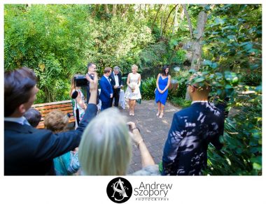 Camellia-Gardens-wedding-Kurnell-Cliff-tops-Sutherland-Shire-wedding-photographer_0004