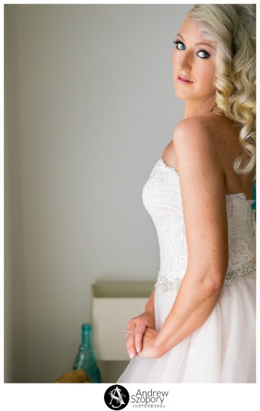 formal window lit portraits of bride