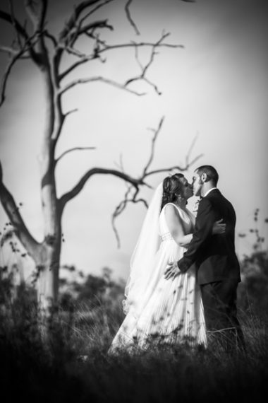 narellan-botanical-gardens-wedding-58-of-69