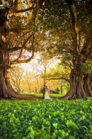 Magical spring wedding with golden yellow and greens in Sydney