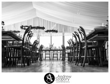 Southern-Highlands-Winery-wedding-reception-and-wedding-photographers_0318