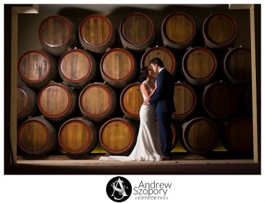 Southern-Highlands-Winery-wedding-reception-and-wedding-photographers_0331