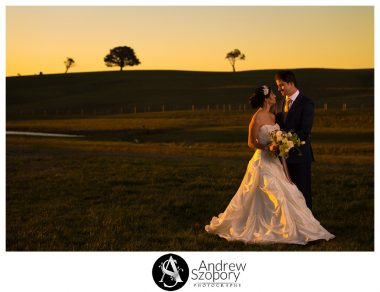 Southern-Highlands-Winery-wedding-reception-and-wedding-photographers_0345