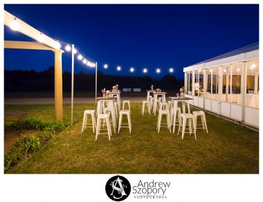 Southern-Highlands-Winery-wedding-reception-and-wedding-photographers_0358