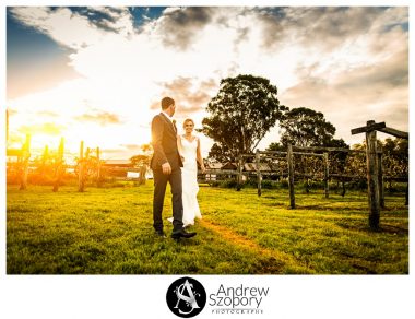 Macarthur-wedding-photographer_0977