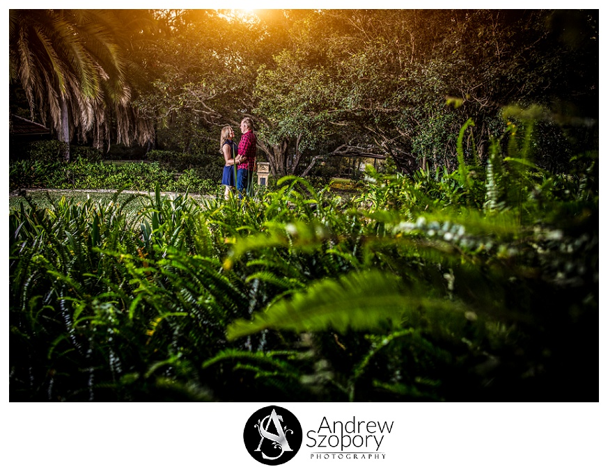 Macarthur family and wedding photographer Macarthur Park Camden 0207 - Macarthur Family and Wedding photographers | Macarthur Park Camden | Pre weddding