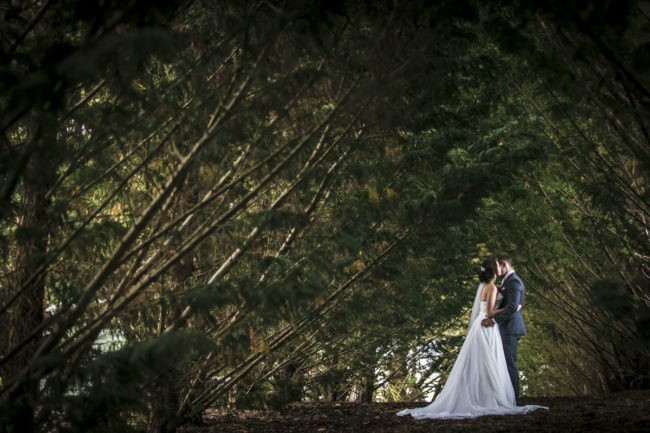 Niki-and-Jason-72-of-77_Q