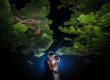 wollongong wedding photographers couple kiss at night under trees at iconic wollongong venue